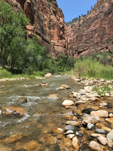 A flowing river with smooth boulders runs through a red-rock canyon lined with willow trees and towering cliff faces. — Bryce Canyon National Park
