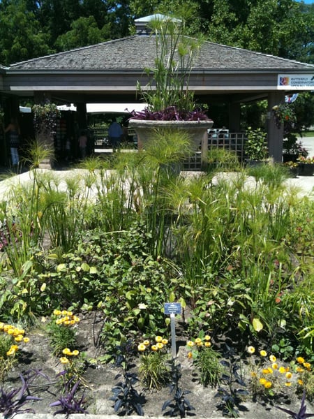 A traveler's photo spot in City of Niagara Falls, Niagara Falls