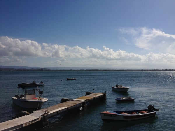 Fishing boats moored at a wooden dock in a sheltered bay with mountains visible across the water. — San Juan