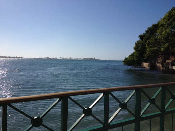 Tropical coastline with palm-lined shore viewed from a waterfront railing at Fuente Raíces in San Juan, Puerto Rico. — Fuente Raíces, San Juan