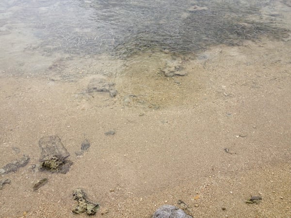 A traveler's photo spot in Esperanza, Vieques