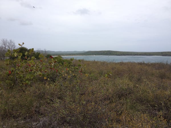 A traveler's photo spot in Esperanza, Vieques