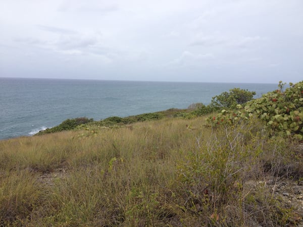 A traveler's photo spot in Esperanza, Vieques
