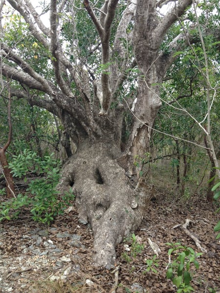 A traveler's photo spot in Esperanza, Vieques