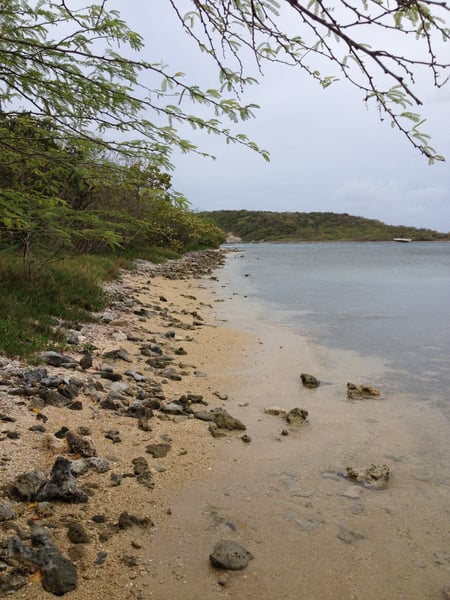 A traveler's photo spot in Esperanza, Vieques