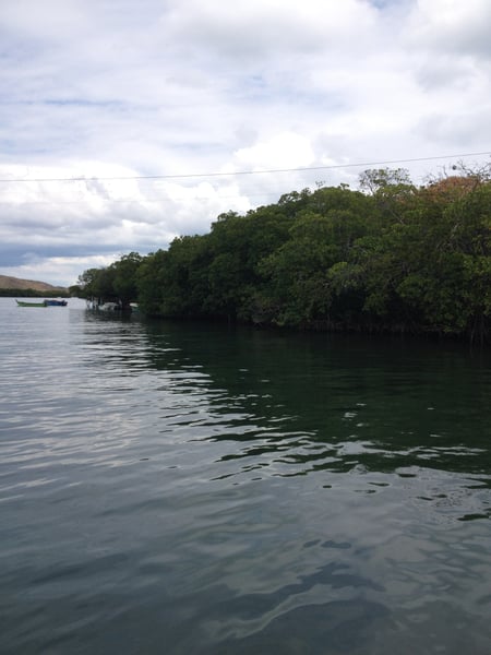 A traveler's photo spot in La Parguera, La Parguera