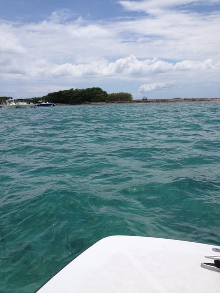 A traveler's photo spot in Puerto Rico, La Parguera