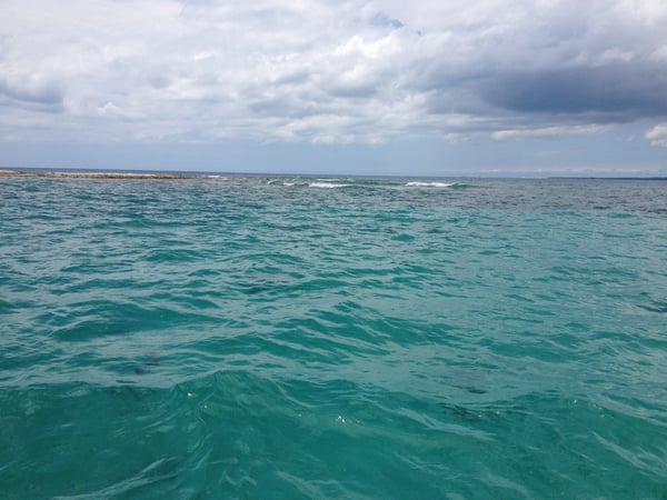 A traveler's photo spot in Puerto Rico, La Parguera