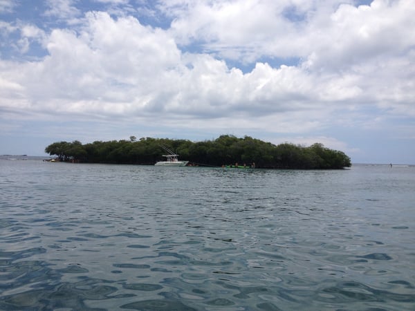 A traveler's photo spot in La Parguera, La Parguera