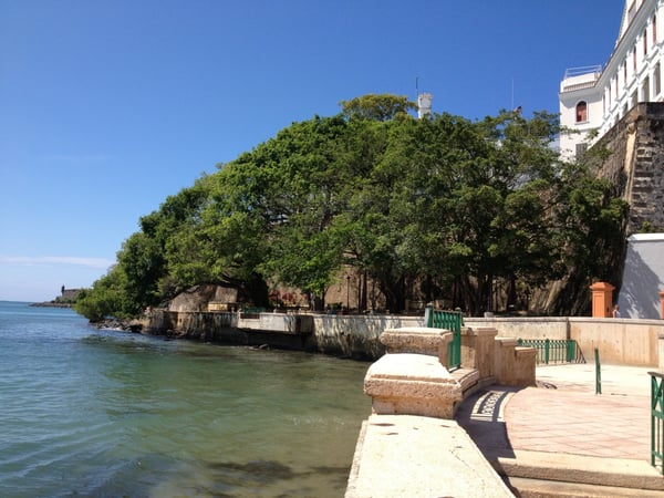 Waterfront promenade with historic stone fortifications and mature trees at Fuente Raíces in San Juan Antiguo, Puerto… — Fuente Raíces, San Juan
