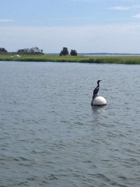 A traveler's photo spot in Cutchogue, The Hamptons & North Fork