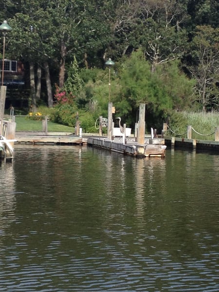A traveler's photo spot in East Cutchogue, The Hamptons & North Fork