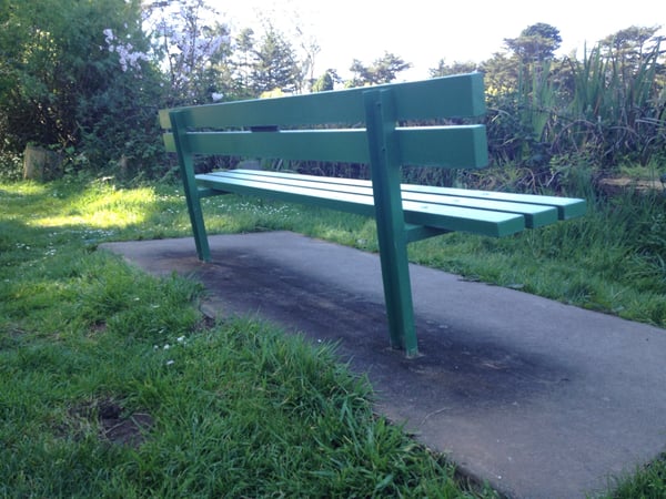 Modern green bench shelter with white seating along a paved path surrounded by coastal vegetation and trees. — Golden Gate Park, San Francisco