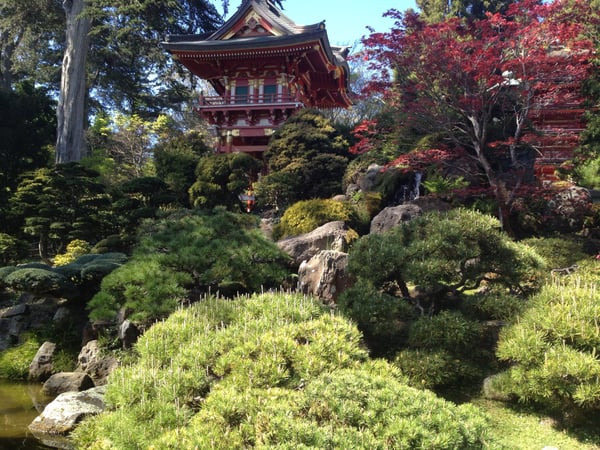Japanese-style pagoda with red autumn foliage in a landscaped garden with stone pathways and water features. — Golden Gate Park, San Francisco