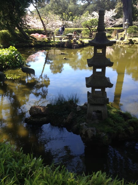 Stone lantern overlooking a pond in a Japanese garden with spring flowers blooming in the background. — Golden Gate Park, San Francisco