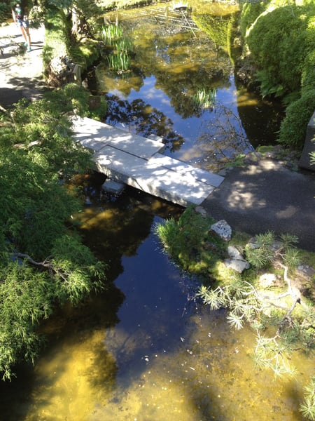 A serene stream flows through a moss-covered garden with stone stepping bridge and lush vegetation. — Golden Gate Park, San Francisco