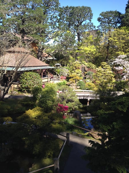 Japanese garden with traditional structures, wooden bridges, and flowering azaleas overlooking a pond, viewed from an… — Inner Sunset, San Francisco