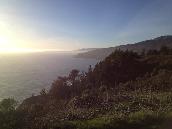 Coastal cliffs with coniferous forest and bay waters viewed from Muir Beach Overlook at sunrise. — Muir Beach Overlook, San Francisco
