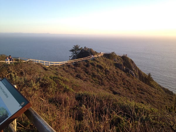 Golden wooden bridge crossing a coastal headland with ocean views at Muir Beach Overlook in Sausalito, California. — Muir Beach Overlook, San Francisco