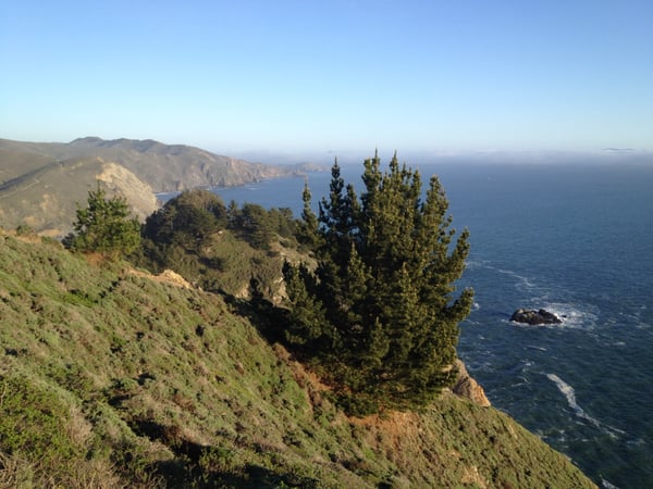 Coastal cliffs with coniferous trees overlooking the Pacific Ocean, viewed from a hillside trail near Muir Beach… — Muir Beach, San Francisco