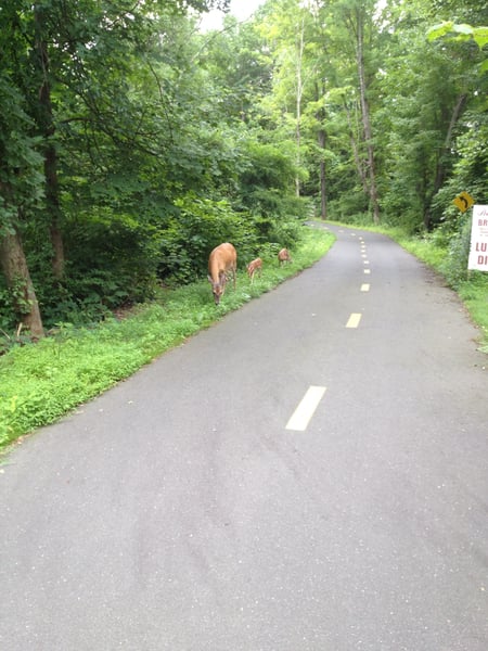 A traveler's photo spot in Pine Hill, Hartford