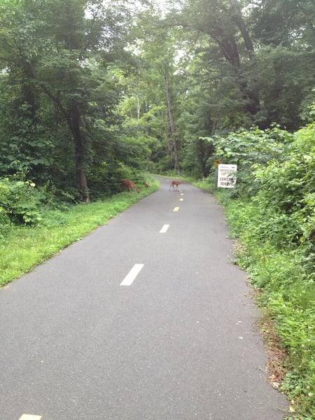 A traveler's photo spot in Pine Hill, Hartford