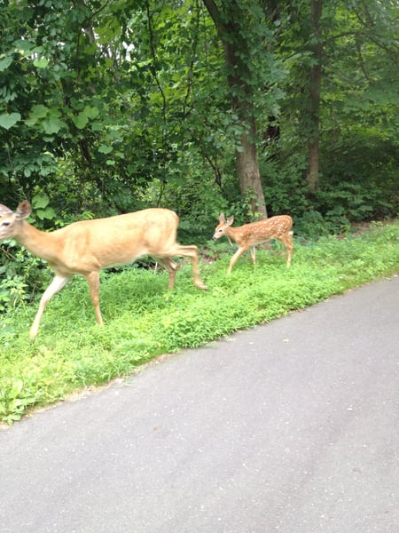 A traveler's photo spot in Pine Hill, Hartford