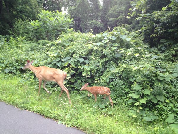 A traveler's photo spot in Pine Hill, Hartford