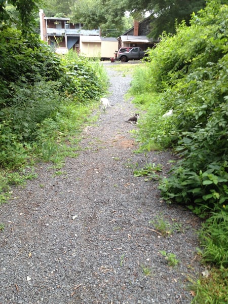 A traveler's photo spot in Pine Hill, Hartford