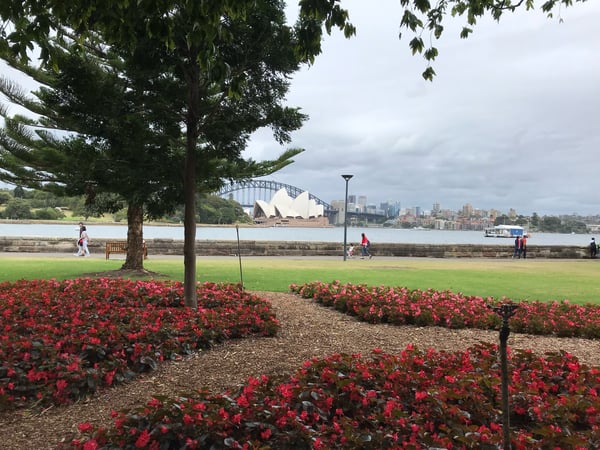 A traveler's photo spot in Centennial Square, Sydney