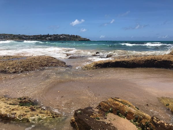 A traveler's photo spot in Bondi Beach, Sydney