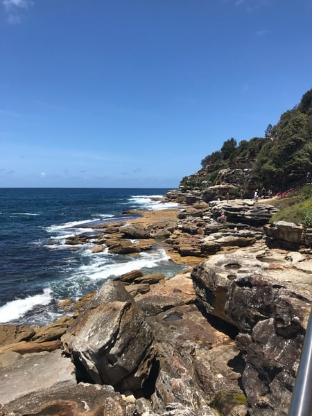 Rocky coastal shoreline with crashing waves and forested cliffs overlooking the Tasman Sea near Bondi, Sydney. — Tamarama, Sydney