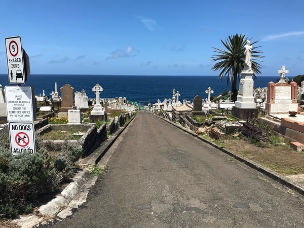 Clifftop cemetery pathway with ocean views, featuring headstones, crosses, and palm tree overlooking the coast. — Clovelly, Sydney