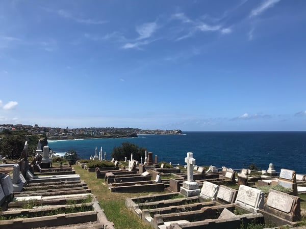 Historic cemetery overlooking turquoise ocean and coastal suburb viewed from ground level on a clear day. — Clovelly, Sydney
