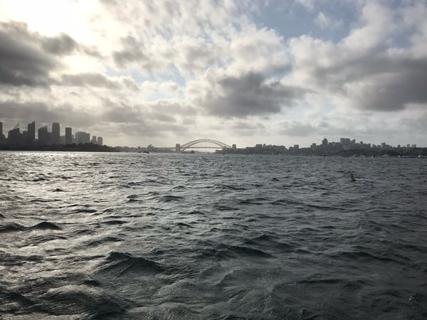 Sydney Harbour with the Sydney Harbour Bridge visible across the water, viewed from a beach in Mosman. — Mosman, Sydney