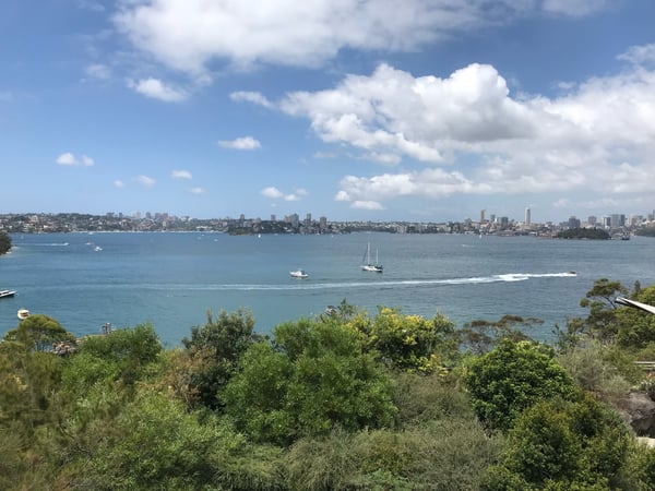 A traveler's photo spot in Mosman, Sydney