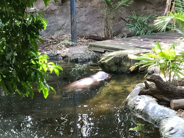 Taronga Zoo Wharf — a traveler's photo spot in Mosman, Sydney