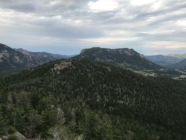 Forested mountain ranges and valleys viewed from Many Parks Curve Overlook in Estes Park, Colorado. — Many Parks Curve Overlook, Rocky Mountain National Park