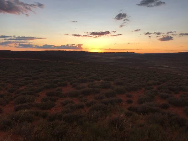 Desert landscape at sunset viewed from Panorama Point, with sparse vegetation and mountains silhouetted on the horizon. — Moab, Arches & Canyonlands