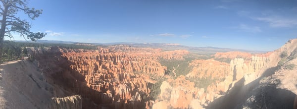 Hoodoo-filled canyon with forested slopes seen from Middle Inspiration Point under clear summer skies. — Middle Inspiration Point, Bryce Canyon National Park