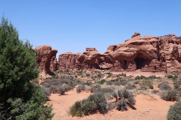 Red rock formations with natural arches in Castle Valley, Utah, viewed from the desert floor with sparse vegetation. — Arches National Park, Moab, Arches & Canyonlands