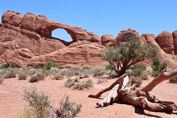 Skyline Arch and surrounding red rock formations viewed from the trail in Moab, Utah, with desert vegetation and fallen… — Skyline Arch Trail, Moab, Arches & Canyonlands