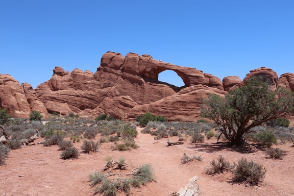 Arch formation in red sandstone desert landscape with sparse vegetation, viewed from ground level in Moab, Utah. — Skyline Arch Trail, Moab, Arches & Canyonlands