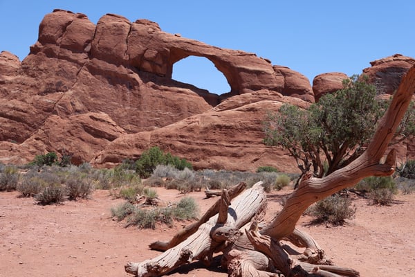 Skyline Arch natural rock formation with desert vegetation in Arches National Park, Moab, Utah. — Skyline Arch Trail, Moab, Arches & Canyonlands