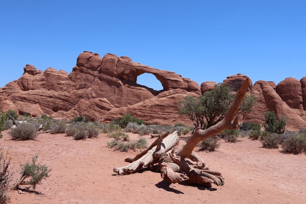 Skyline Arch, a natural stone arch formation in the Utah desert near Moab, viewed from the trail with desert vegetation… — Skyline Arch Trail, Moab, Arches & Canyonlands