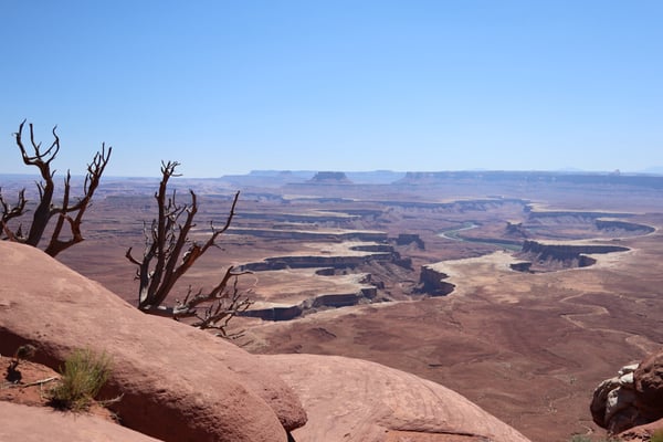 Green River Overlook vista showing canyon lands, mesas, and the meanders of the Green River from a high desert vantage… — Green River Overlook, Moab, Arches & Canyonlands