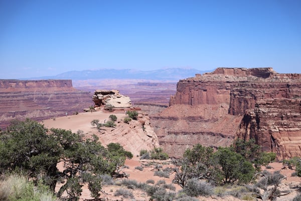 Red rock canyons and mesas with sparse desert vegetation viewed from an elevated plateau in Moab, Utah. — Moab, Arches & Canyonlands
