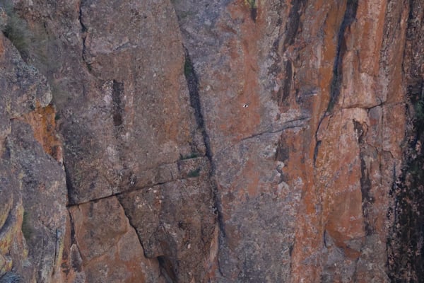 Painted Wall View displays layered red and brown sandstone cliffs with natural striations and mineral deposits in… — Painted Wall View, Black Canyon of the Gunnison