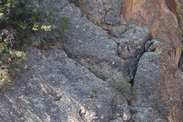 Weathered granite rock formations with lichen and sparse vegetation at Painted Wall View, Montrose, Colorado. — Painted Wall View, Black Canyon of the Gunnison