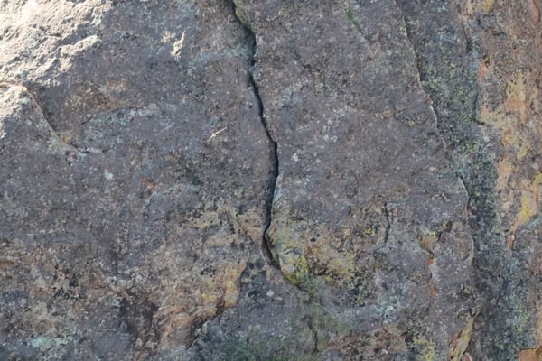 Close-up view of weathered, lichen-covered rock face with deep vertical cracks at Painted Wall View, Montrose, Colorado. — Painted Wall View, Black Canyon of the Gunnison